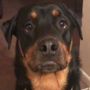 Meet your Posher, Addie